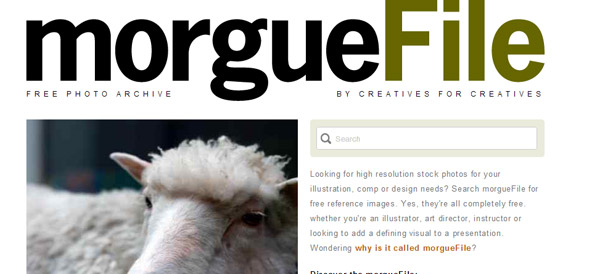 Morgue File